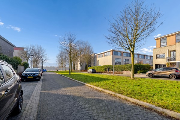 JACQUES TATILAAN 143-56.jpg